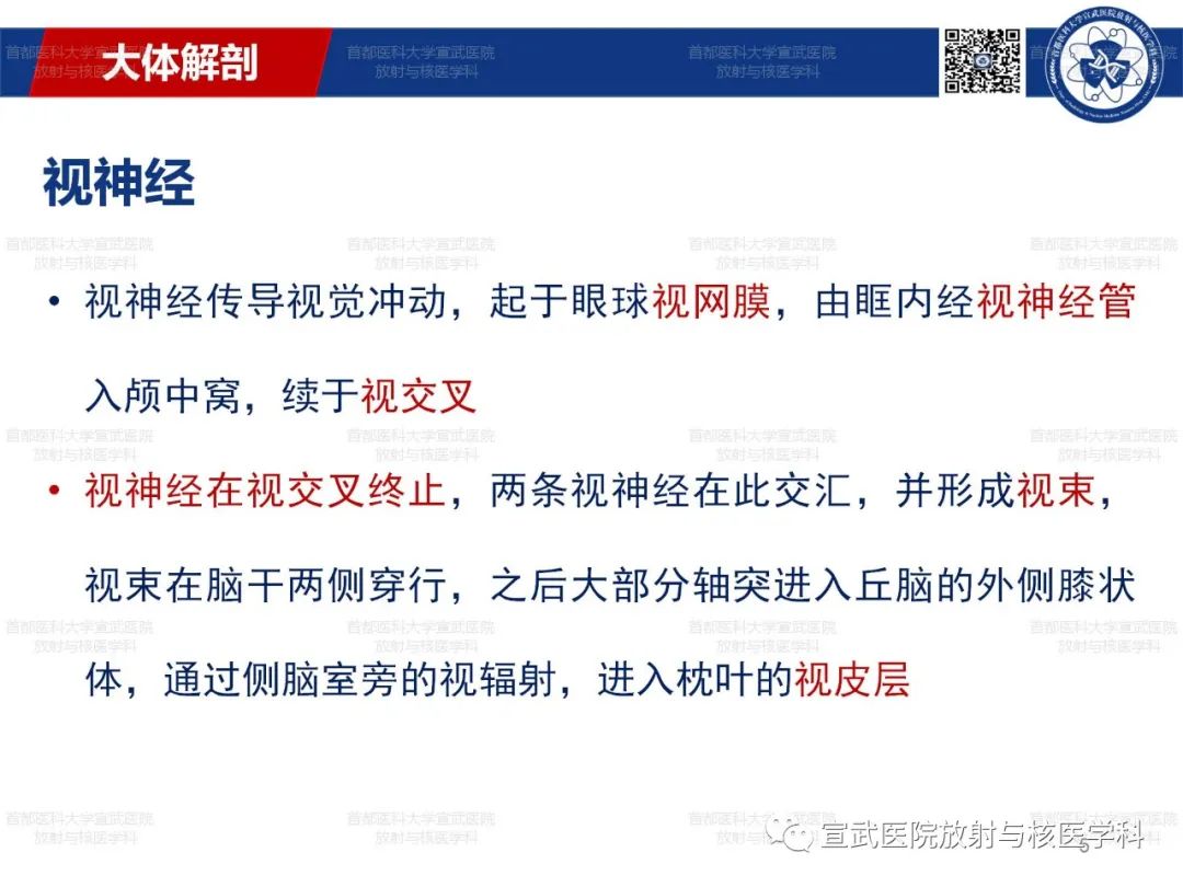 影像PPT - 【PPT】12对颅神经磁共振影像解剖-5