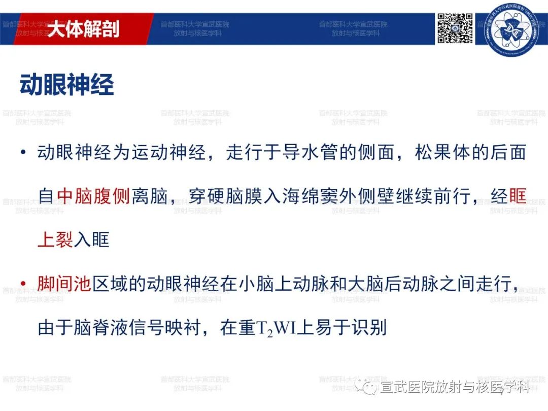 影像PPT - 【PPT】12对颅神经磁共振影像解剖-7