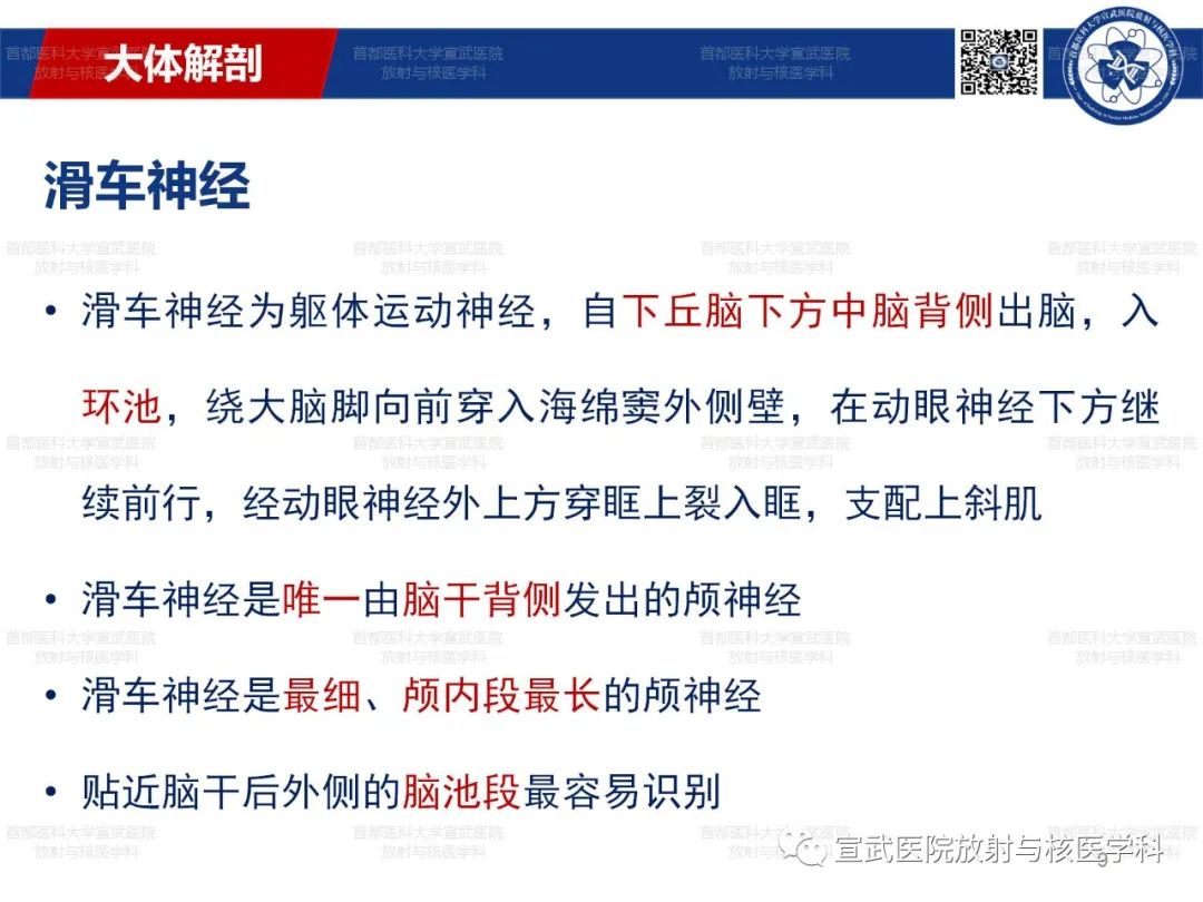 影像PPT - 【PPT】12对颅神经磁共振影像解剖-9