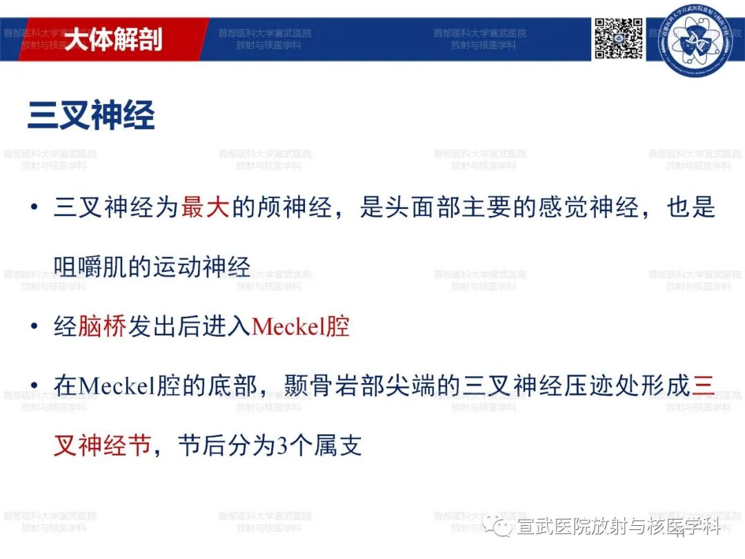 影像PPT - 【PPT】12对颅神经磁共振影像解剖-11