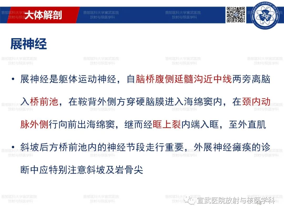 影像PPT - 【PPT】12对颅神经磁共振影像解剖-13