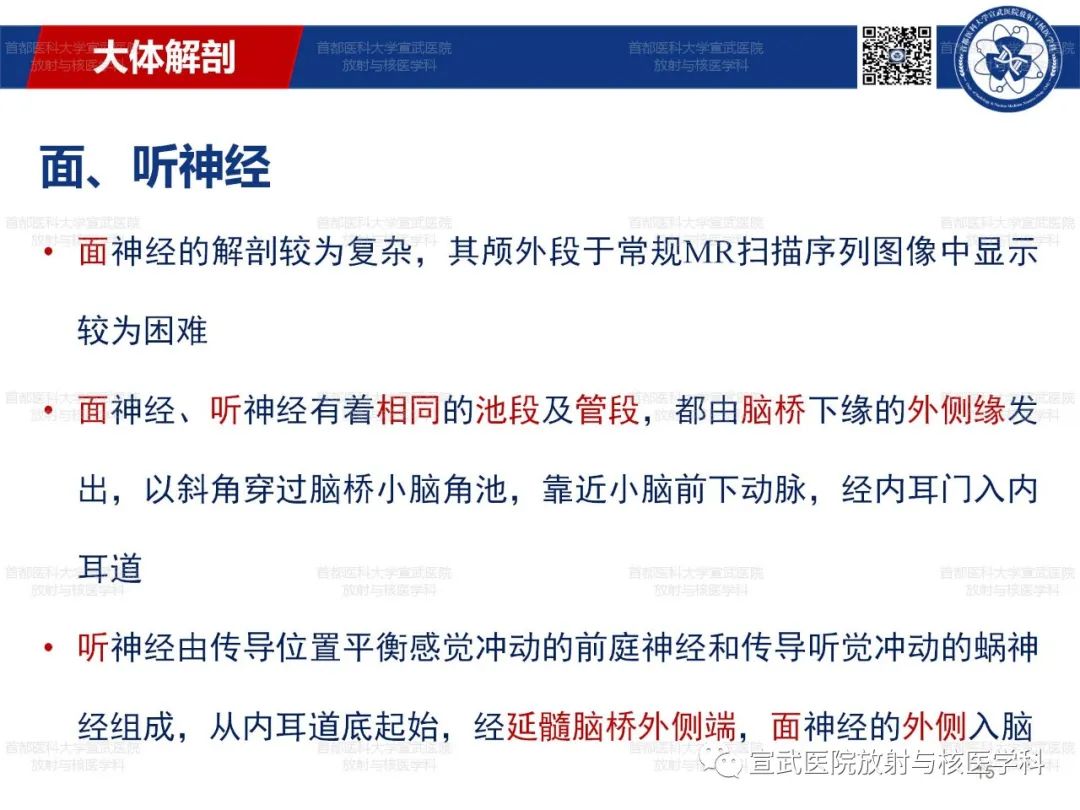 影像PPT - 【PPT】12对颅神经磁共振影像解剖-15