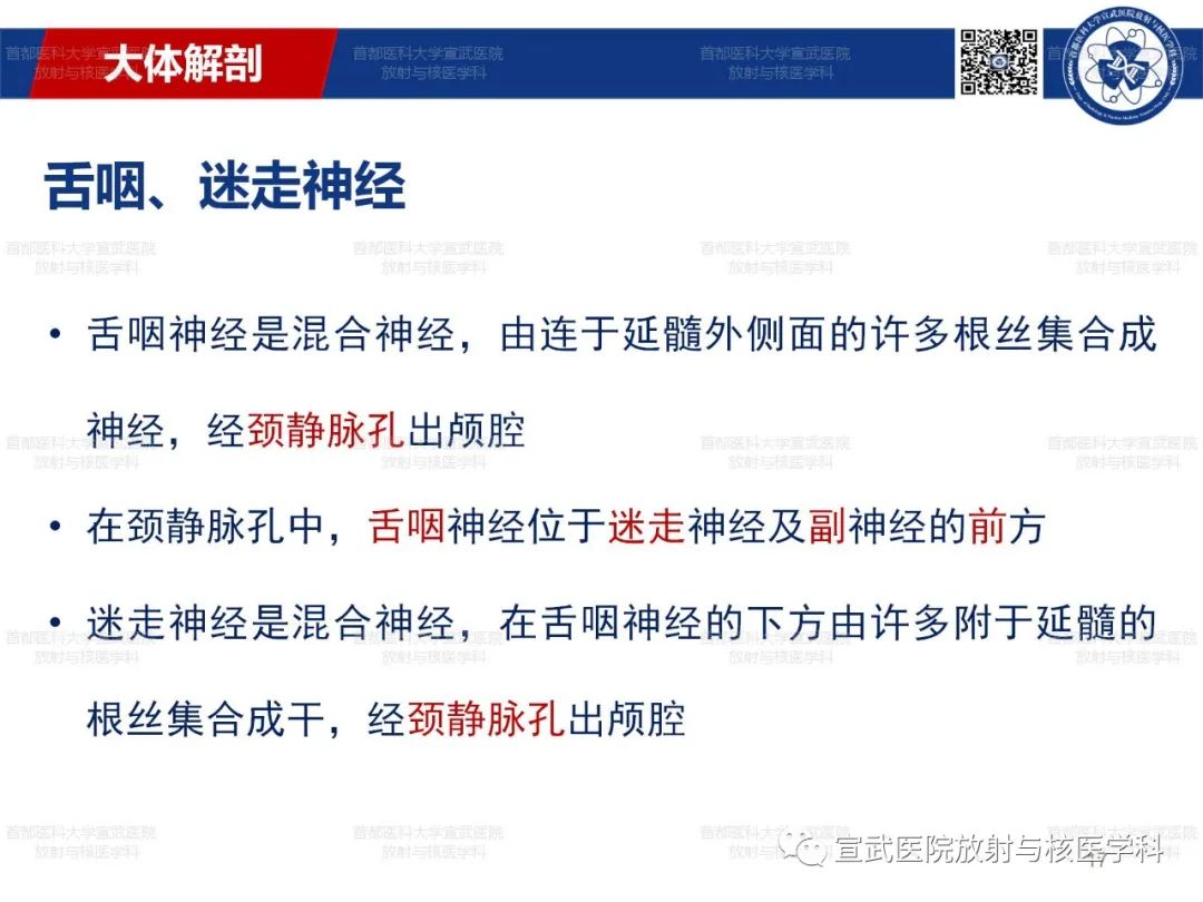 影像PPT - 【PPT】12对颅神经磁共振影像解剖-17