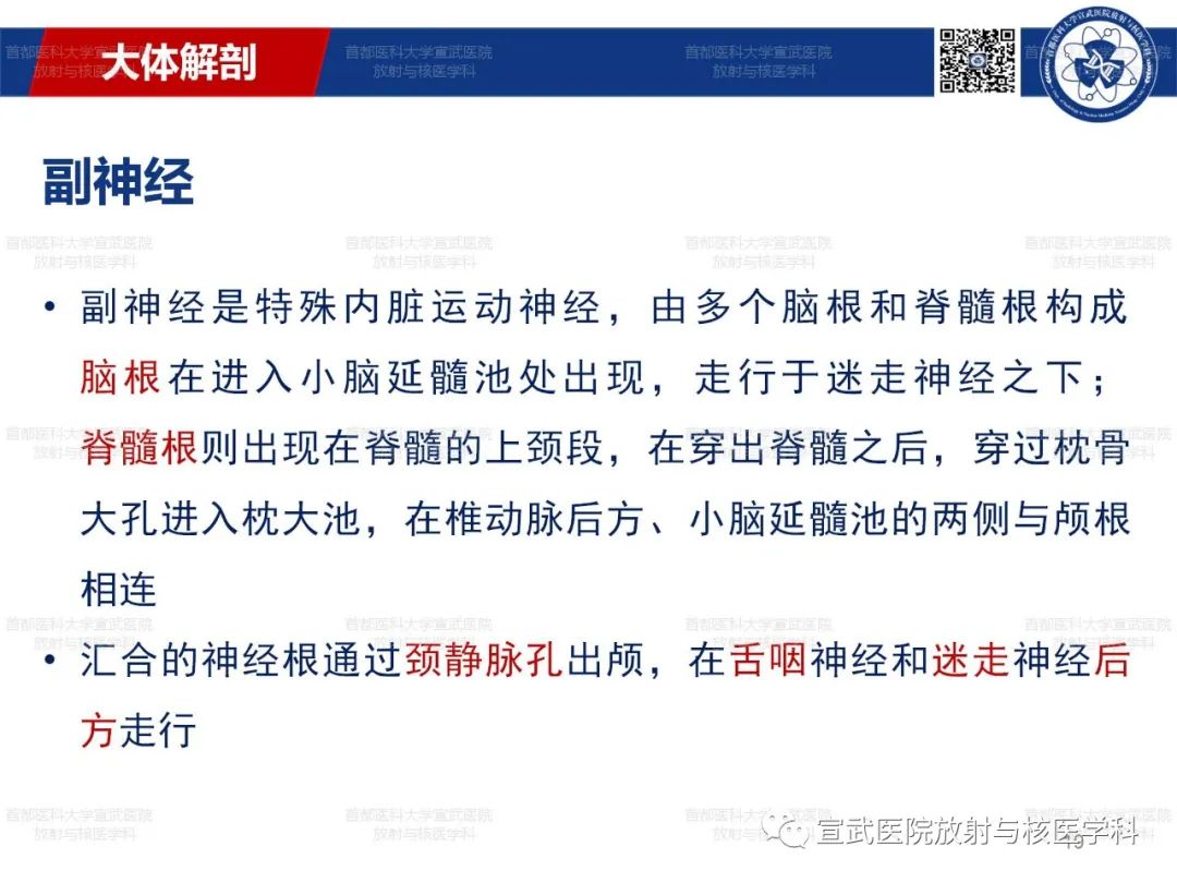 影像PPT - 【PPT】12对颅神经磁共振影像解剖-19