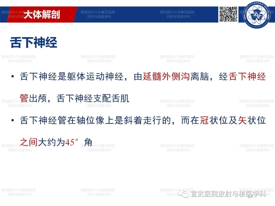 影像PPT - 【PPT】12对颅神经磁共振影像解剖-21