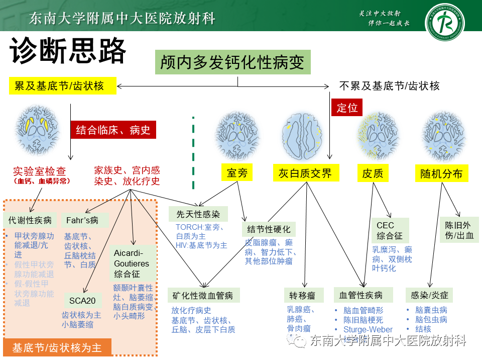 影像PPT - 【PPT】颅内多发钙化病例随诊-22