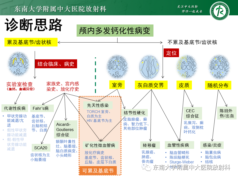 影像PPT - 【PPT】颅内多发钙化病例随诊-27