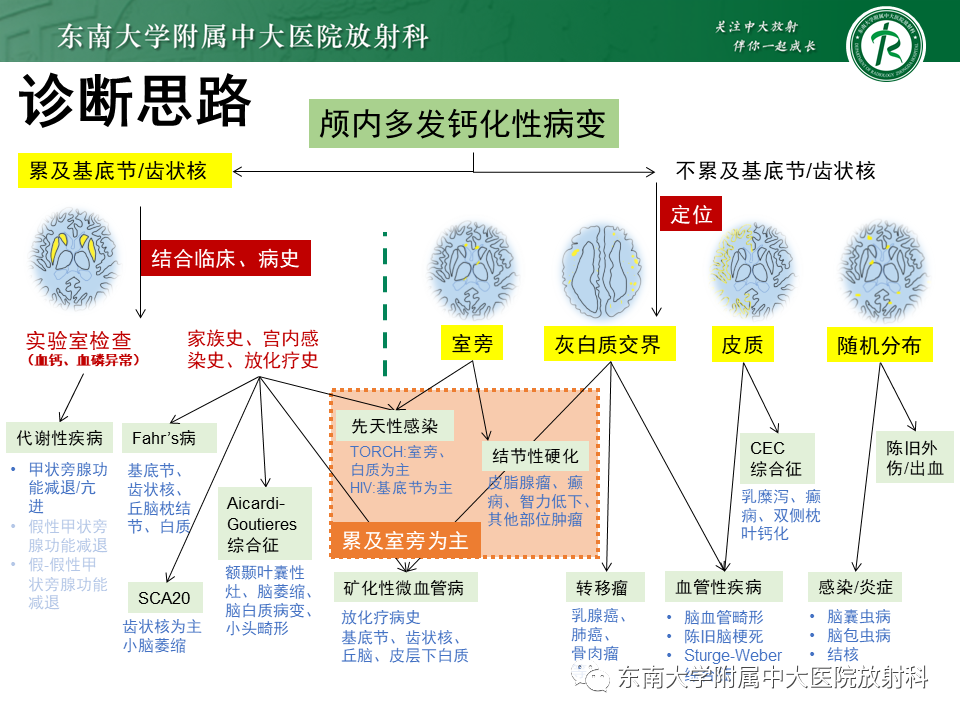 影像PPT - 【PPT】颅内多发钙化病例随诊-30