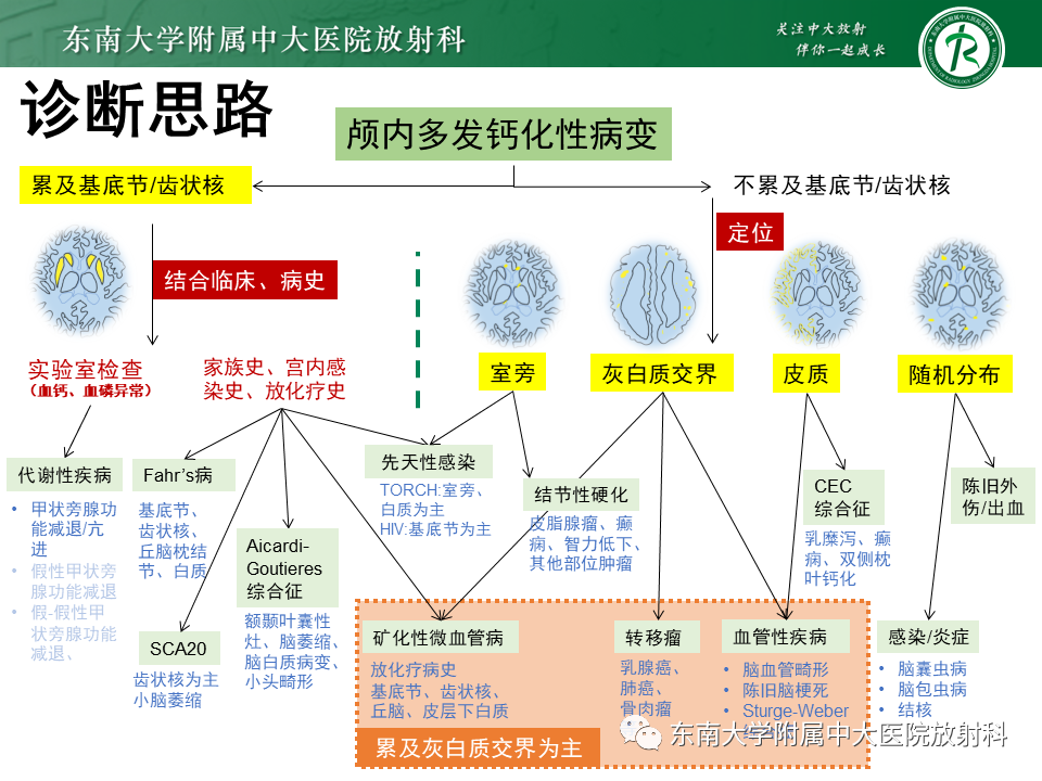 影像PPT - 【PPT】颅内多发钙化病例随诊-33