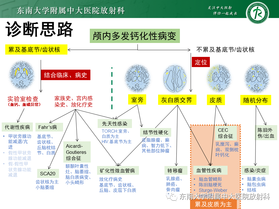 影像PPT - 【PPT】颅内多发钙化病例随诊-38