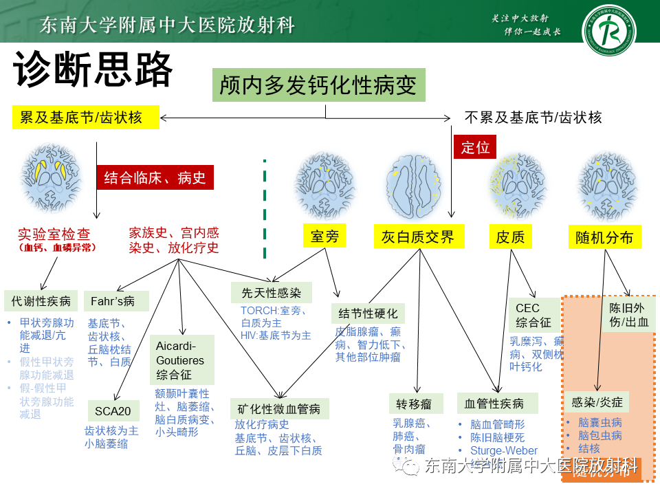 影像PPT - 【PPT】颅内多发钙化病例随诊-42