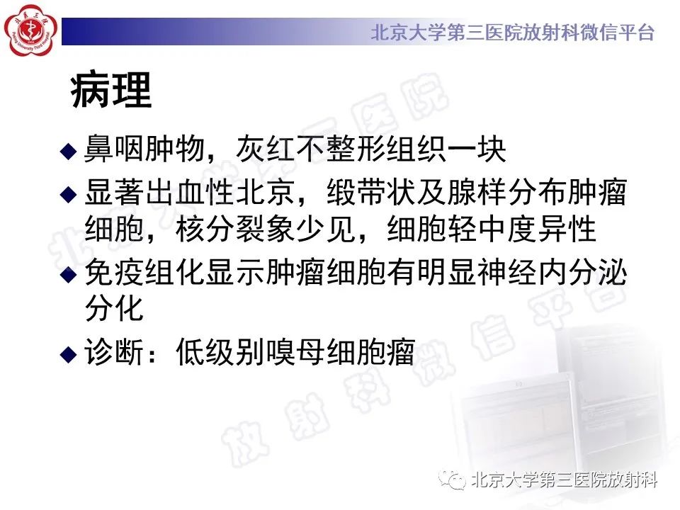 影像PPT - 【PPT】嗅神经母细胞瘤-9
