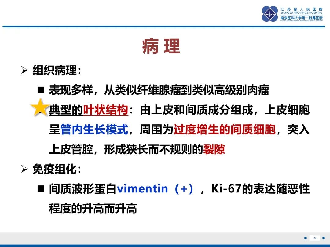 影像PPT - 【PPT】乳腺叶状肿瘤-27