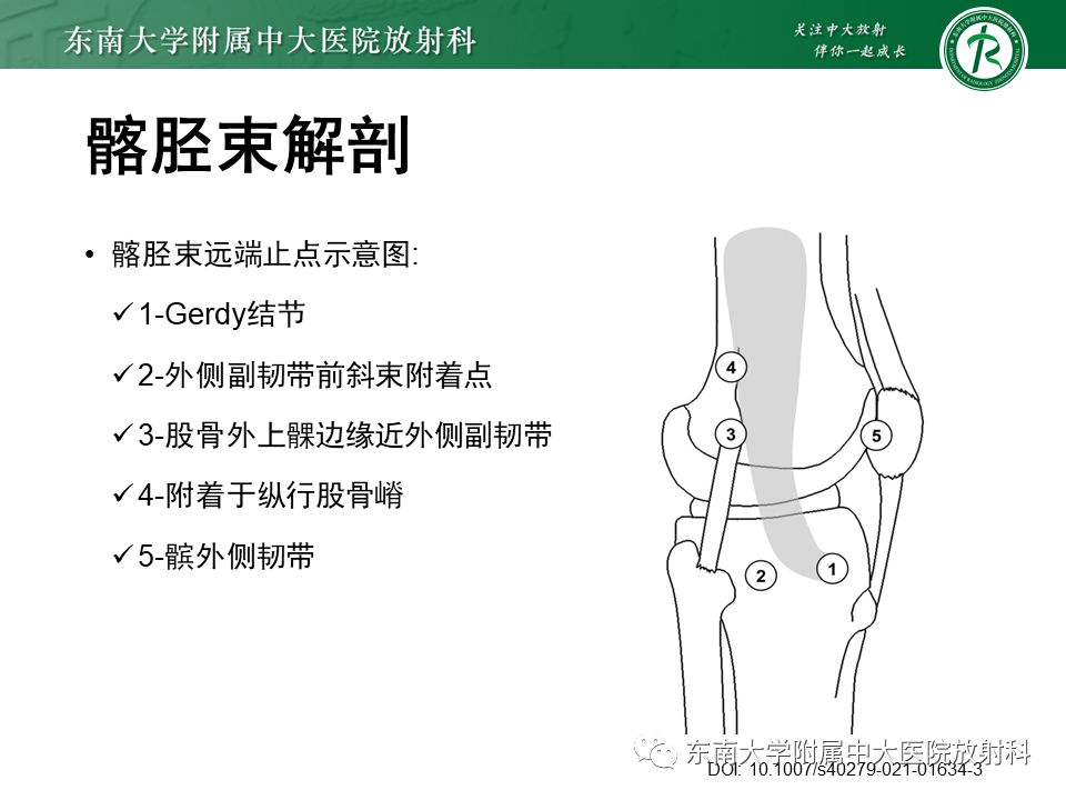 影像PPT - 【PPT】髂胫束相关损伤-8
