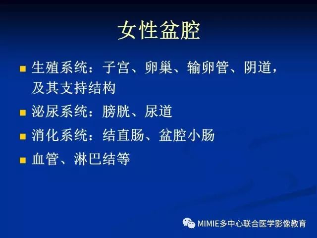 影像PPT - 【PPT】女性生殖系统正常解剖及表现-2