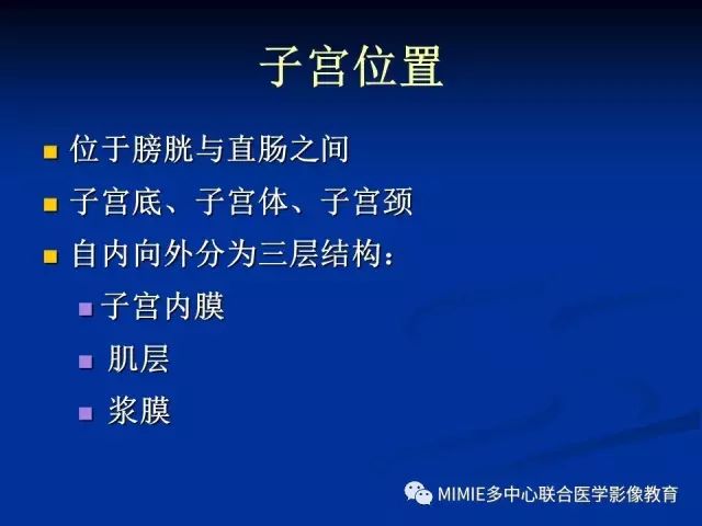 影像PPT - 【PPT】女性生殖系统正常解剖及表现-28