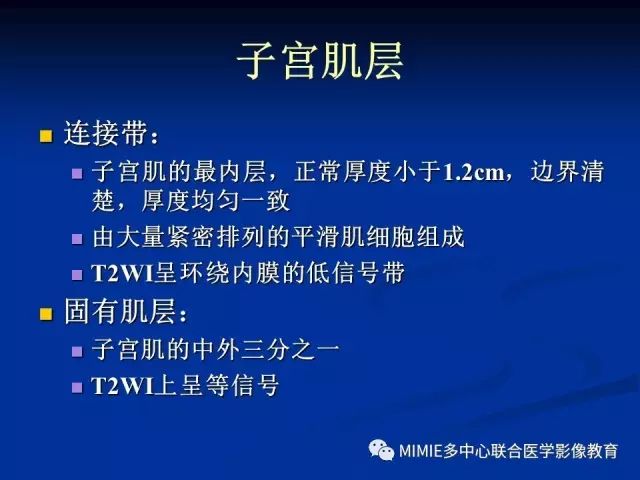 影像PPT - 【PPT】女性生殖系统正常解剖及表现-38