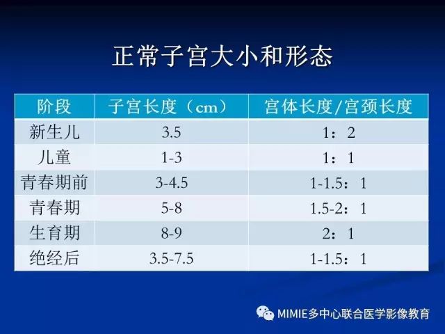 影像PPT - 【PPT】女性生殖系统正常解剖及表现-40