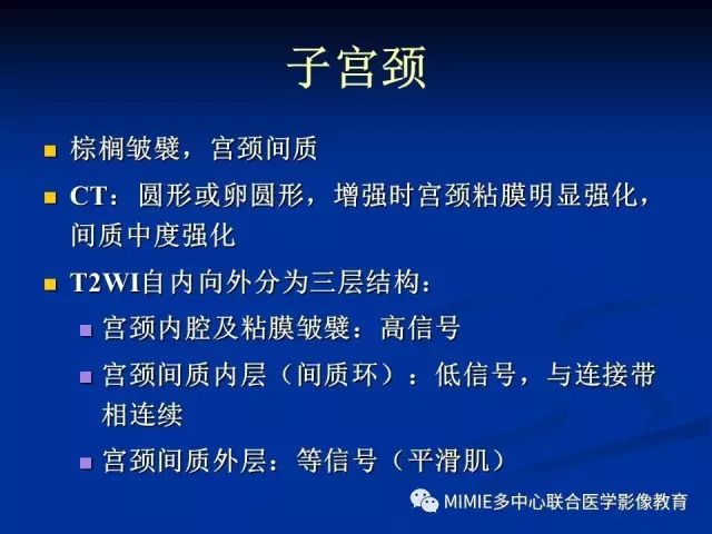 影像PPT - 【PPT】女性生殖系统正常解剖及表现-47