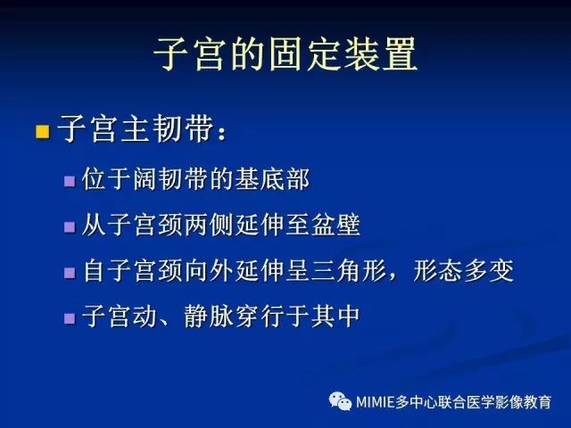影像PPT - 【PPT】女性生殖系统正常解剖及表现-54