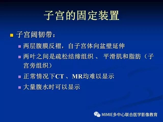 影像PPT - 【PPT】女性生殖系统正常解剖及表现-49