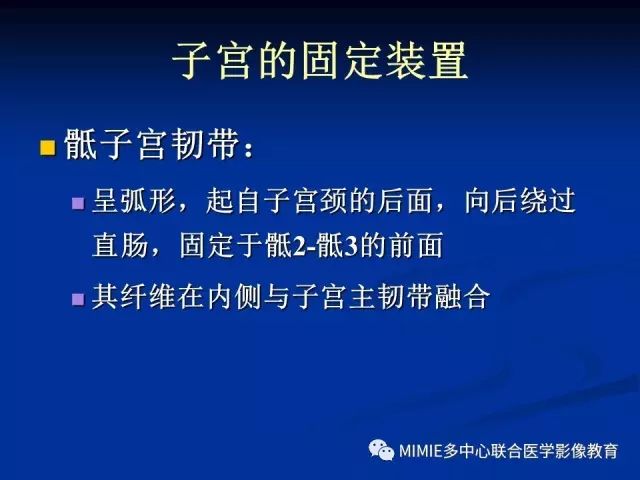 影像PPT - 【PPT】女性生殖系统正常解剖及表现-57