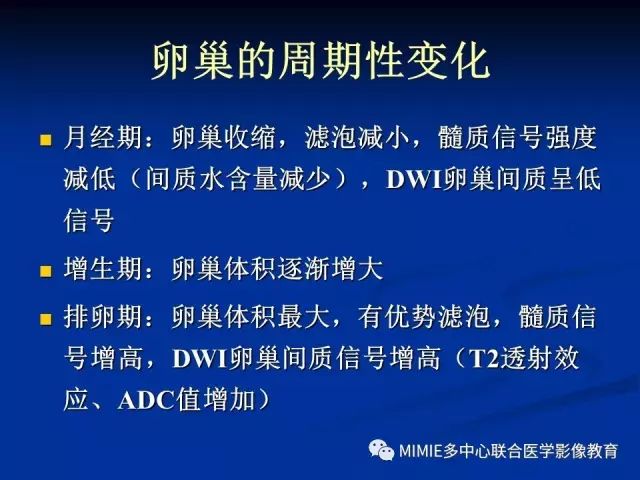 影像PPT - 【PPT】女性生殖系统正常解剖及表现-61