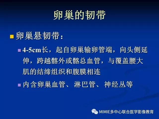 影像PPT - 【PPT】女性生殖系统正常解剖及表现-71