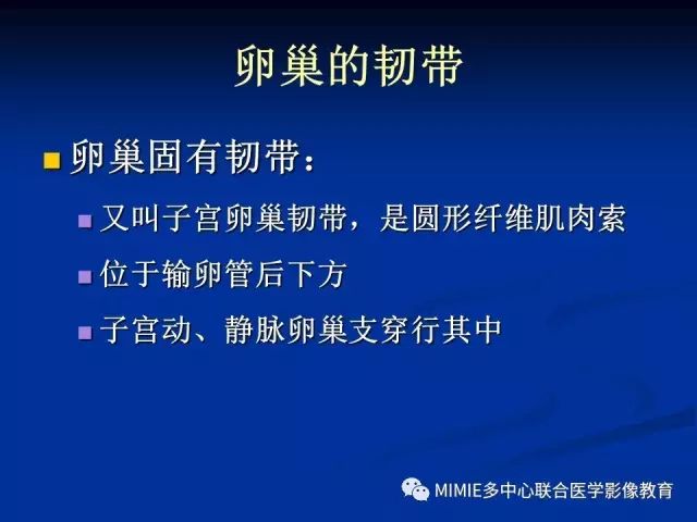 影像PPT - 【PPT】女性生殖系统正常解剖及表现-74