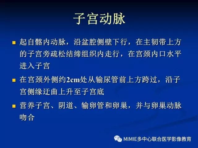 影像PPT - 【PPT】女性生殖系统正常解剖及表现-77