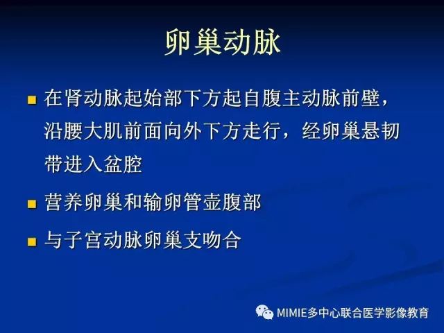影像PPT - 【PPT】女性生殖系统正常解剖及表现-80