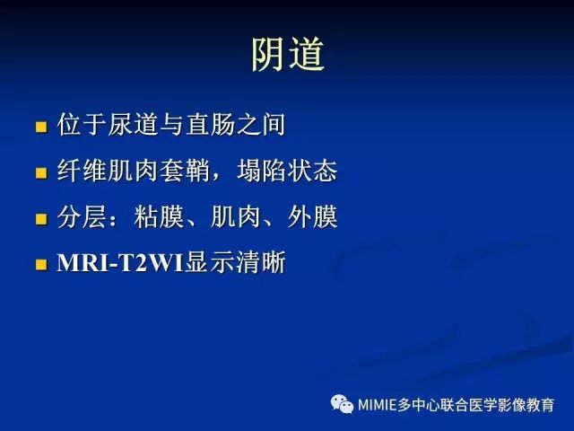 影像PPT - 【PPT】女性生殖系统正常解剖及表现-87