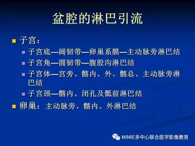 影像PPT - 【PPT】女性生殖系统正常解剖及表现-89