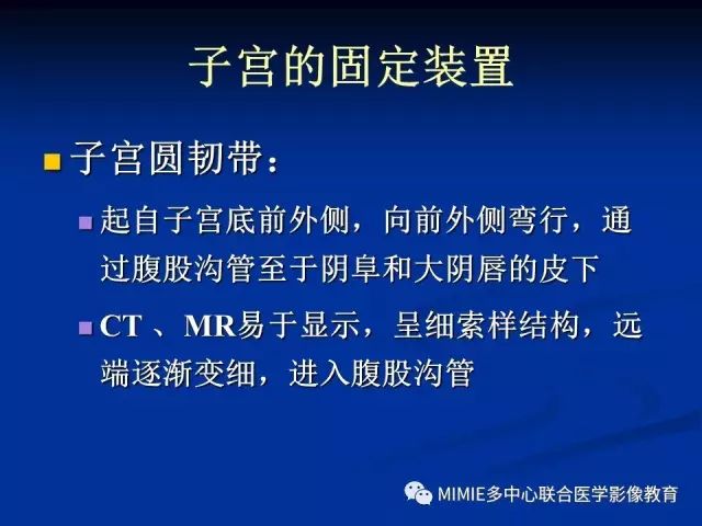 影像PPT - 【PPT】女性生殖系统正常解剖及表现-4