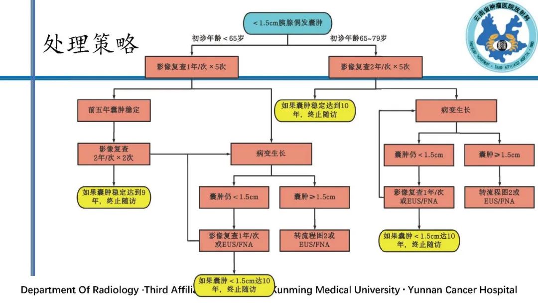 影像PPT - 【PPT】胰腺囊性病变诊断及处理策略-42