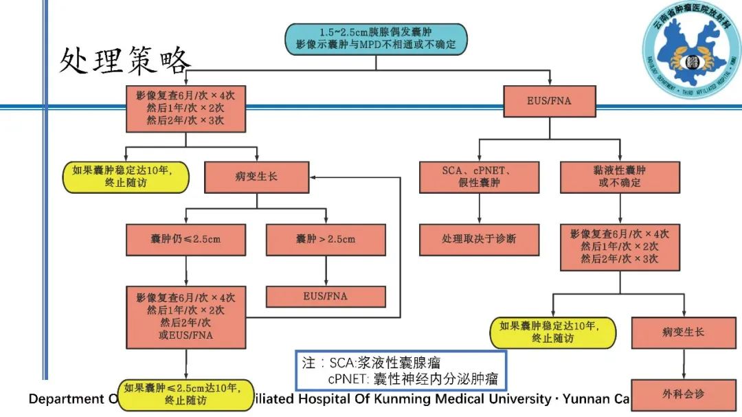 影像PPT - 【PPT】胰腺囊性病变诊断及处理策略-44