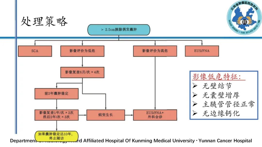 影像PPT - 【PPT】胰腺囊性病变诊断及处理策略-45
