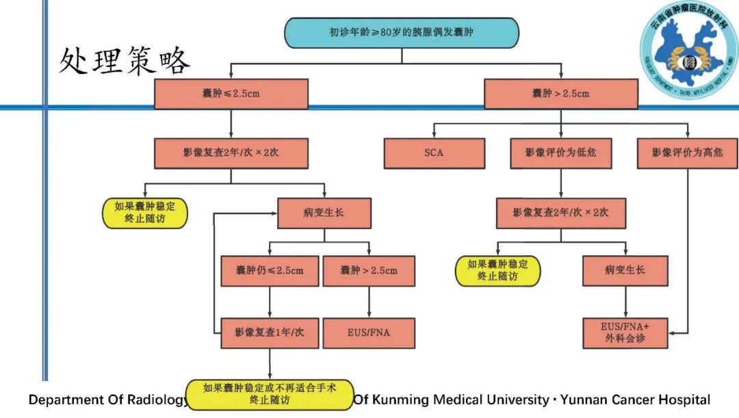 影像PPT - 【PPT】胰腺囊性病变诊断及处理策略-46