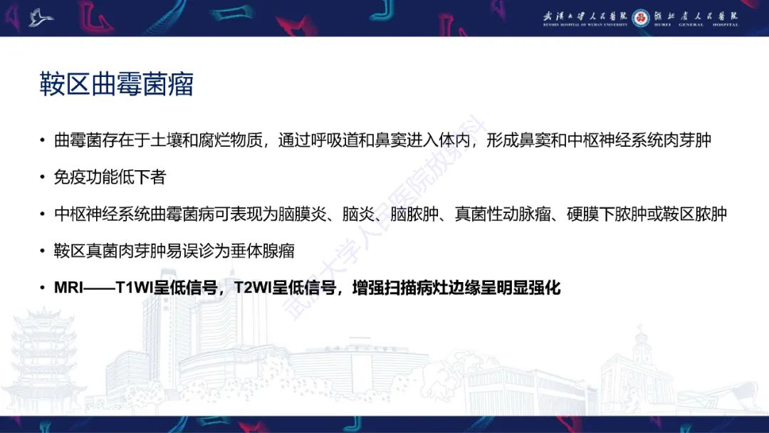 影像PPT - 【PPT】鞍区少见占位影像诊断-22