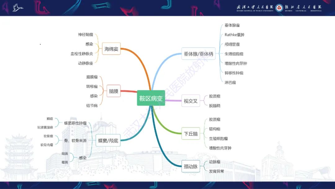 影像PPT - 【PPT】鞍区少见占位影像诊断-31