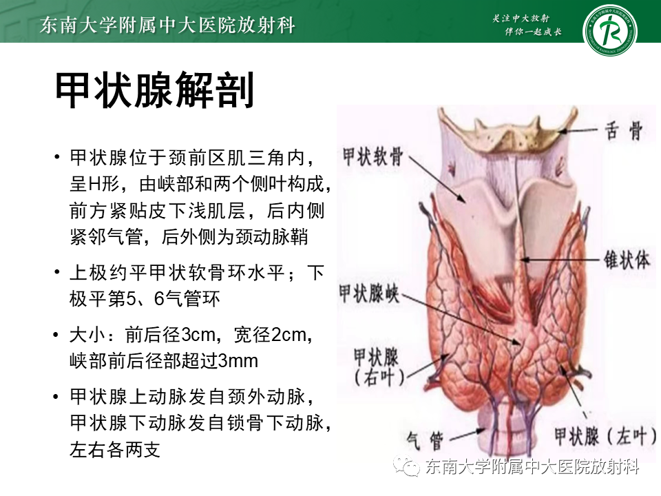 影像PPT - 【PPT】甲状腺乳头状癌的影像诊断-6