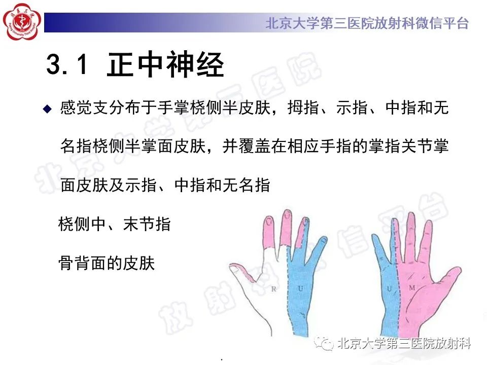 影像PPT - 【PPT】腕管综合征-12