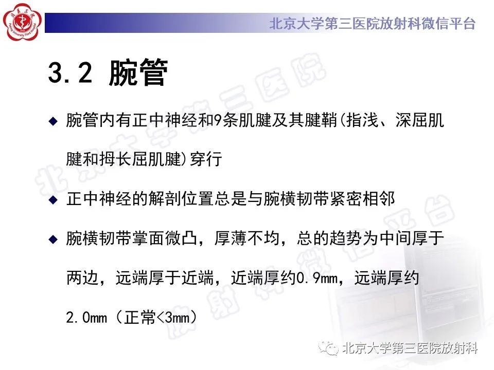 影像PPT - 【PPT】腕管综合征-14