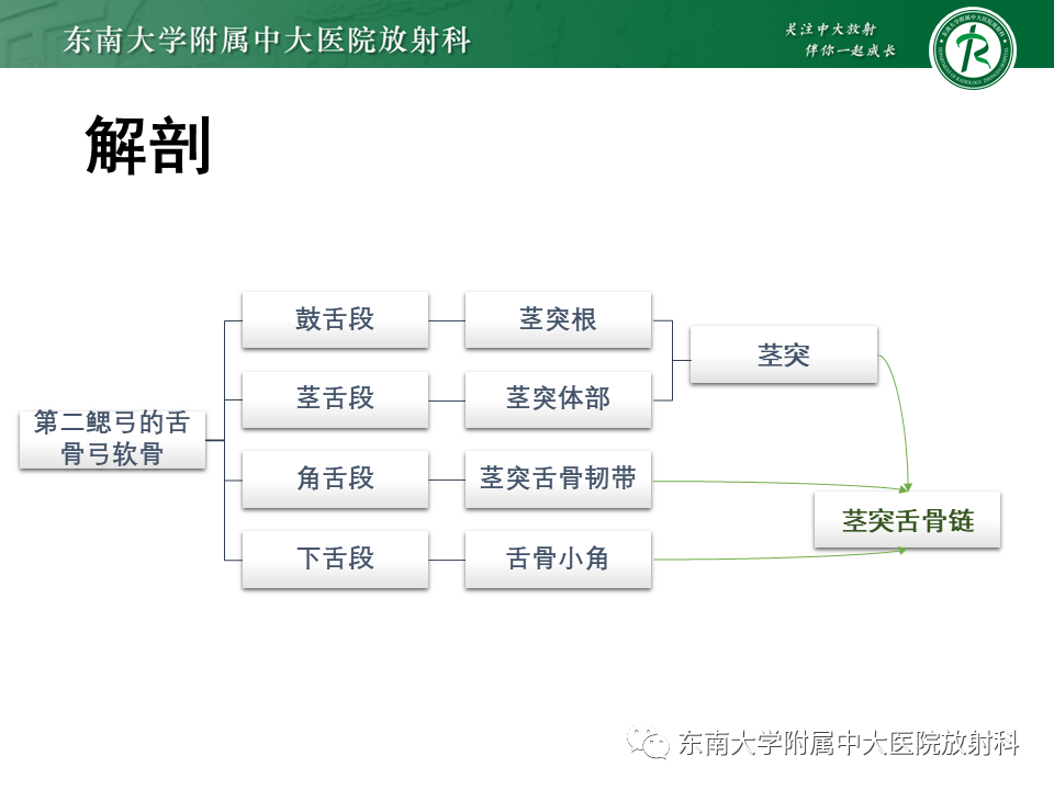 影像PPT - 【PPT】茎突综合征-20