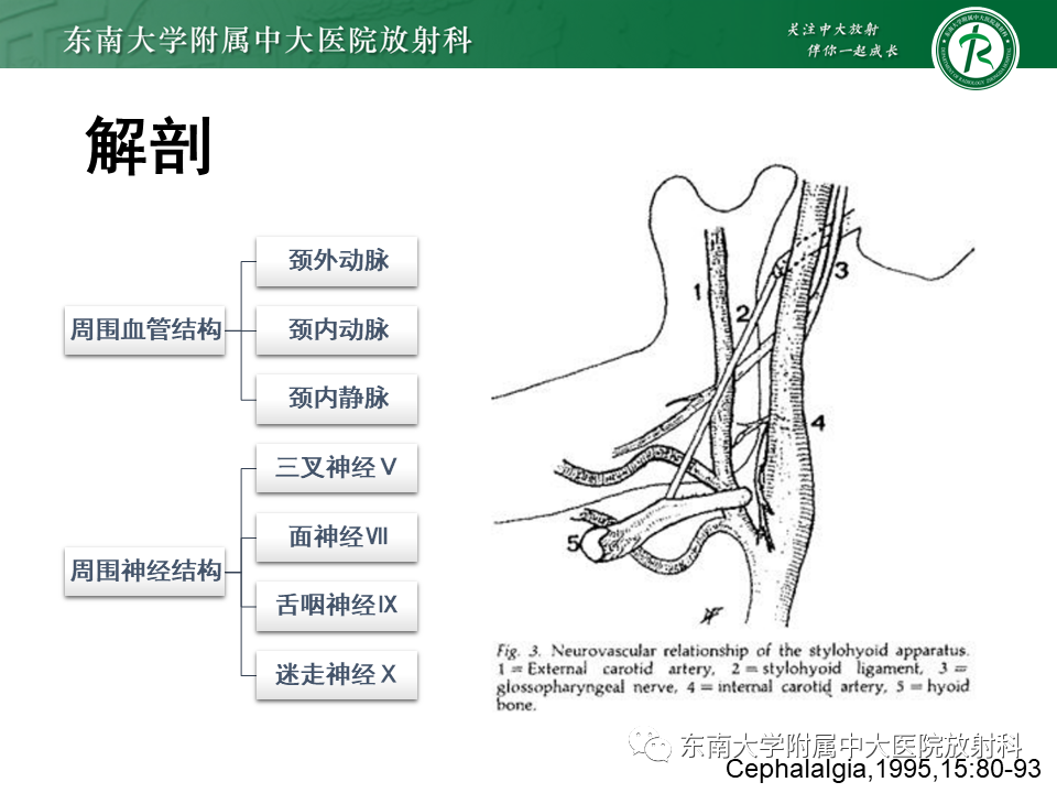 影像PPT - 【PPT】茎突综合征-24