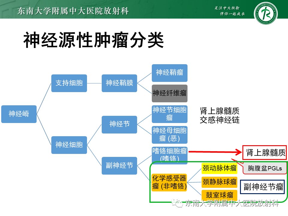 影像PPT - 【PPT】颈静脉球瘤-7 影像PPT - 【PPT】颈静脉球瘤-7