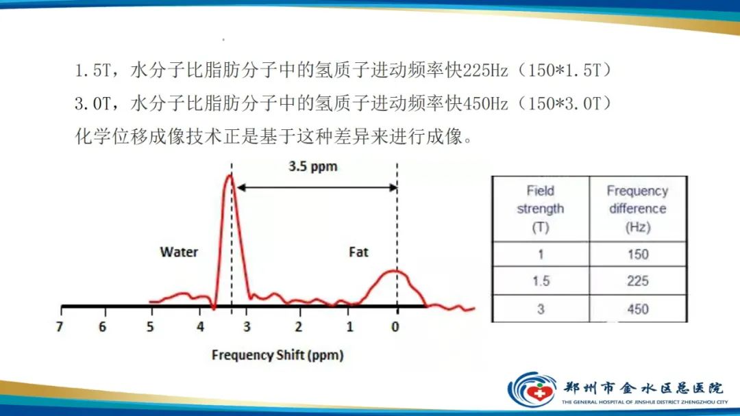 影像PPT - 【PPT】磁共振化学位移成像—水脂分离技术原理及应用浅述-4