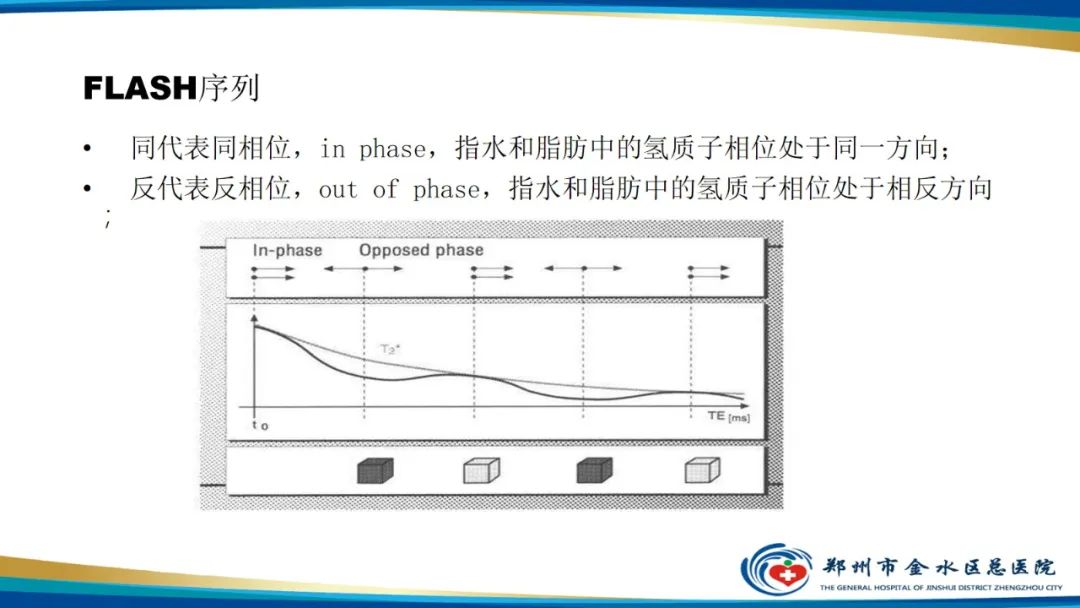影像PPT - 【PPT】磁共振化学位移成像—水脂分离技术原理及应用浅述-6