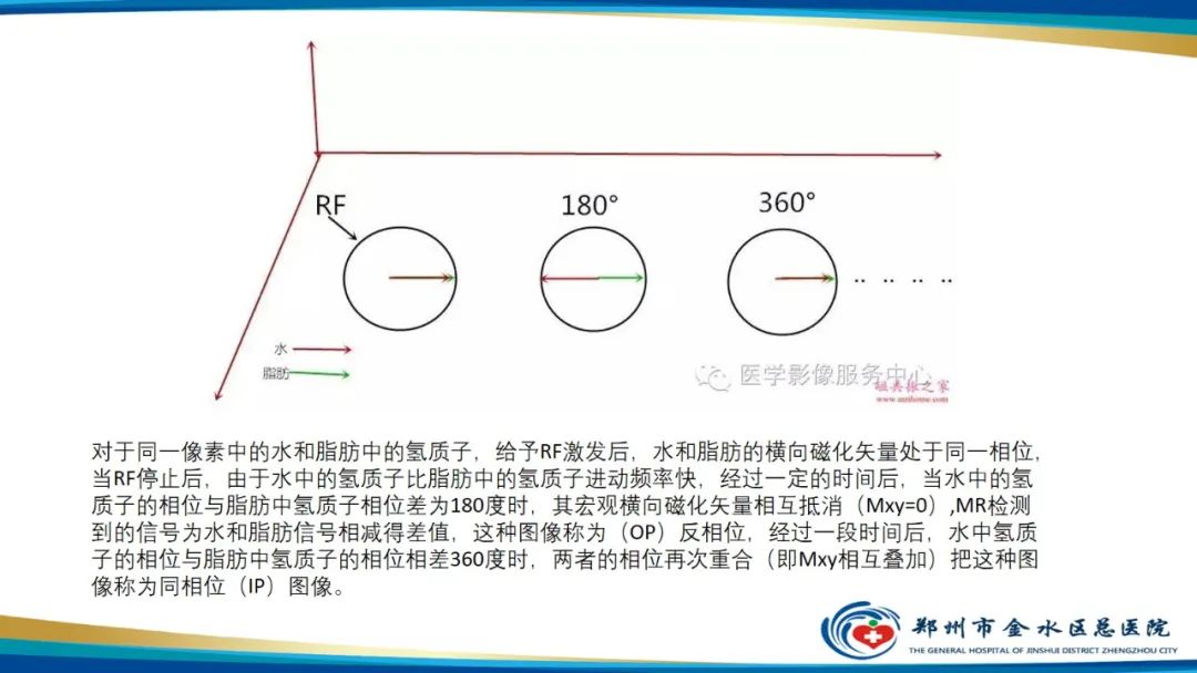 影像PPT - 【PPT】磁共振化学位移成像—水脂分离技术原理及应用浅述-8