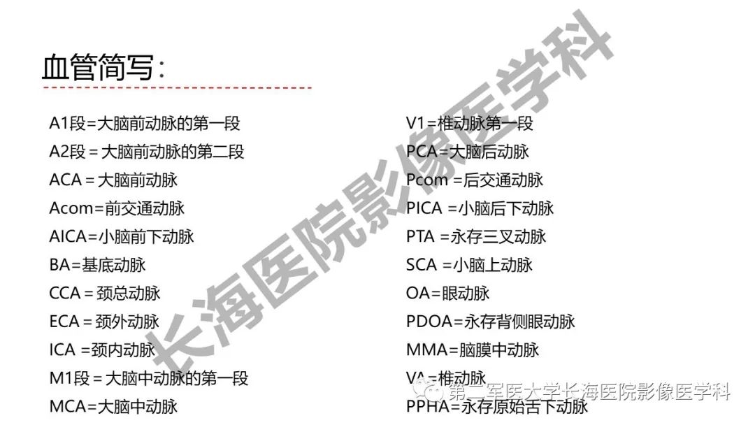 影像PPT - 【PPT】脑供血动脉常见变异-4